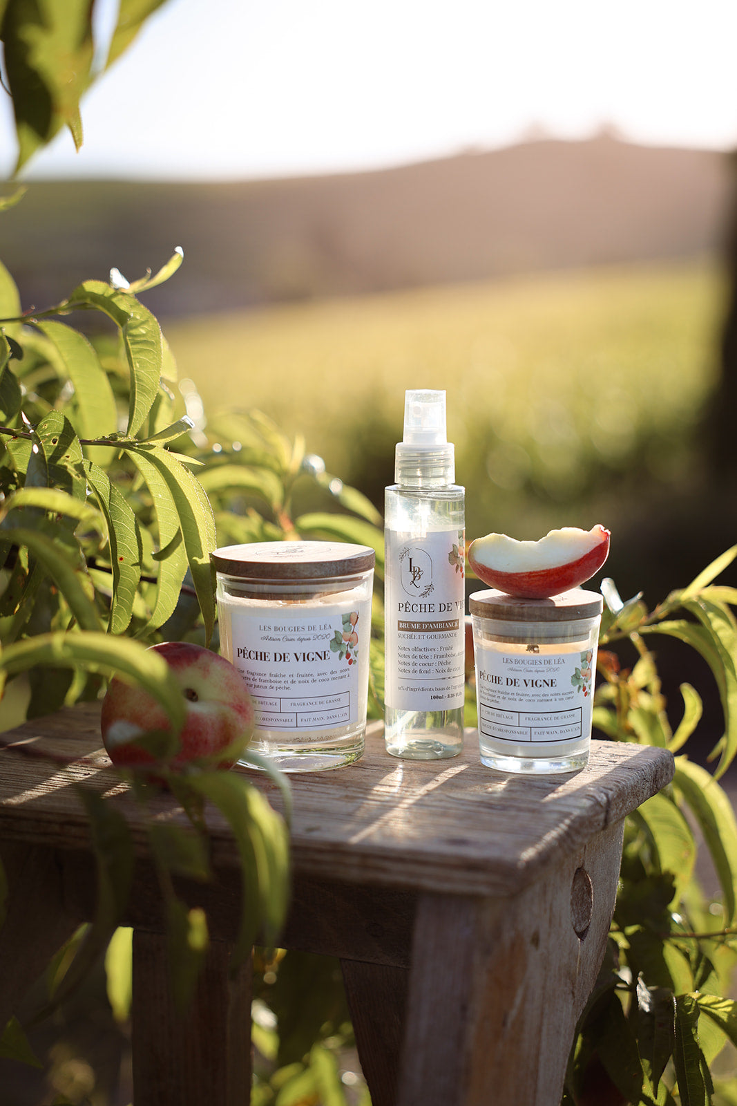 Produits d'ambiance parfumée et artisanale LBL Pêche de Vigne, Bougies et Brume végétale sur un tabouret en bois, dans un champ de pêchés, accompagnés de pêche de vigne