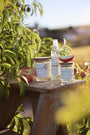 Bougies artisanales parfumées Les Bougies de Léa, Brume d'ambiance LBL Pêche de vigne, dans les vignes, accompagnés de pêchés, pêches, sur un tabouret en bois rustique et authentique, à la lumière du soleil.