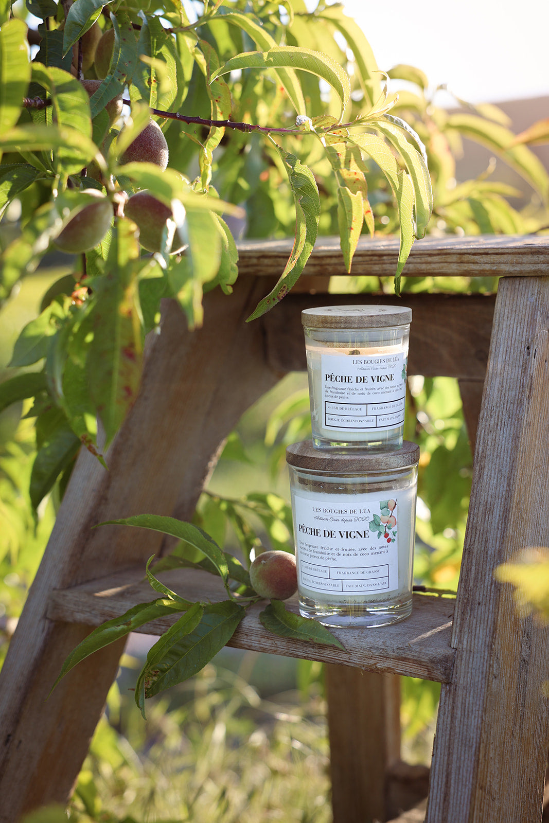 Bougies artisanales parfumées Les Bougies de Léa Pêche de vigne, dans les vignes, accompagnés de feuilles de pêchés, sur un tabouret en bois rustique et authentique, à la lumière du soleil.