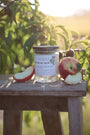 Bougie artisanale parfumée Les Bougies de Léa Pêche de vigne avec son couvercle en bois d'Acacia, posée sur un tabouret en bois, dans les vignes à la lumière du soleil accompagnée de pêches juteuses.